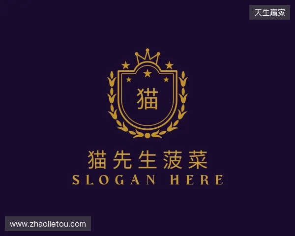 解读猫先生官方